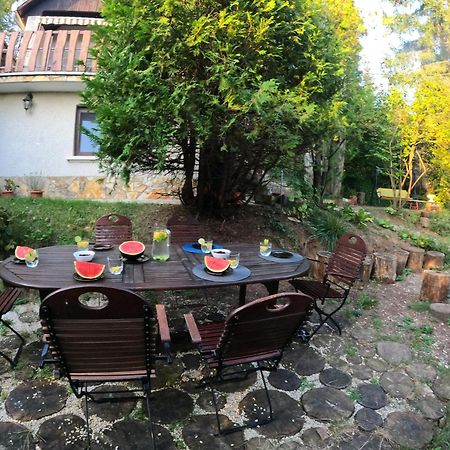 Egig Ero Fa Vendeghaz Villa Nograd Екстериор снимка